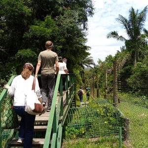congo kinshasa tourist attractions